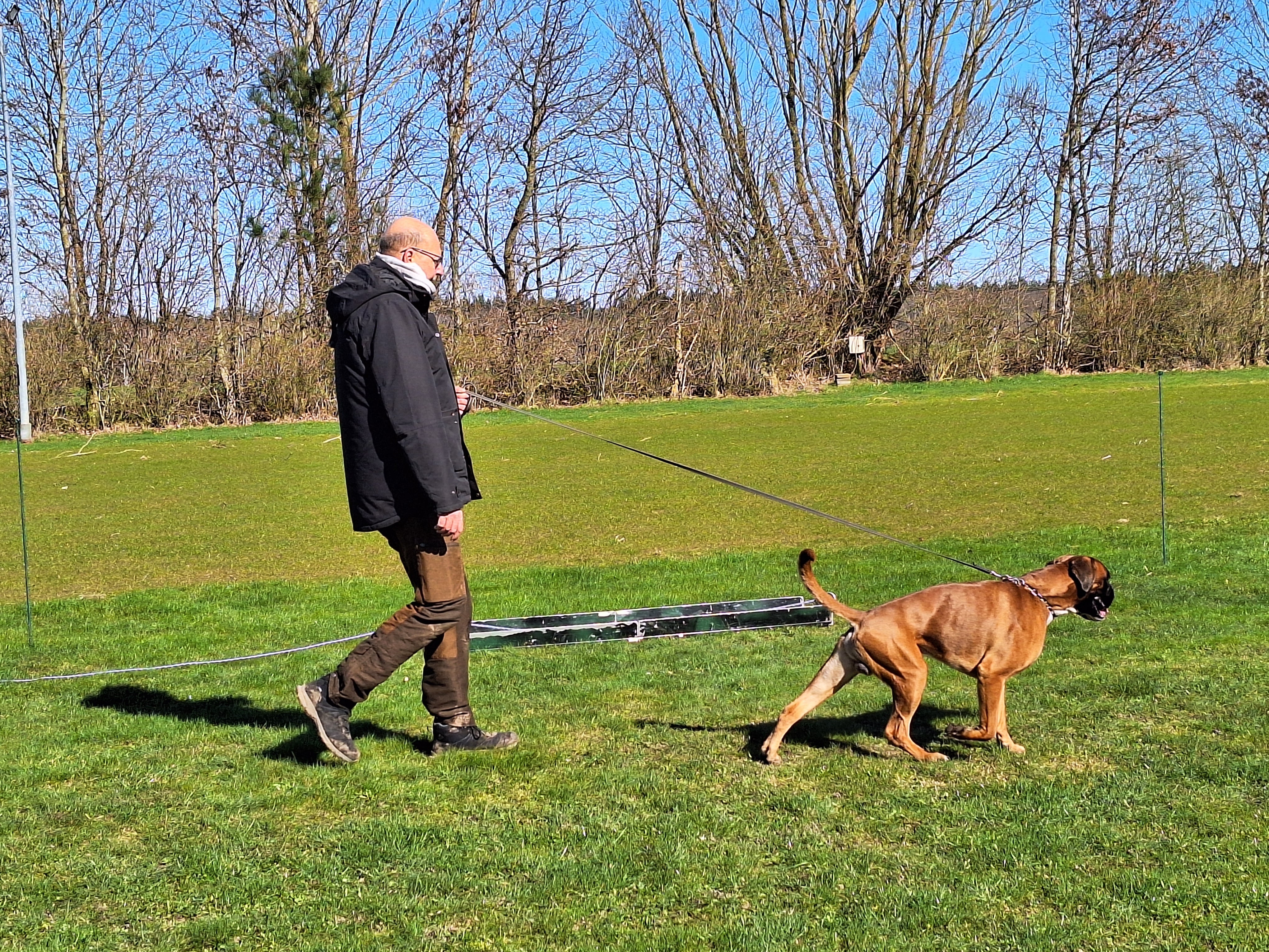 Marts 2024 - Mentalbeskrivelse