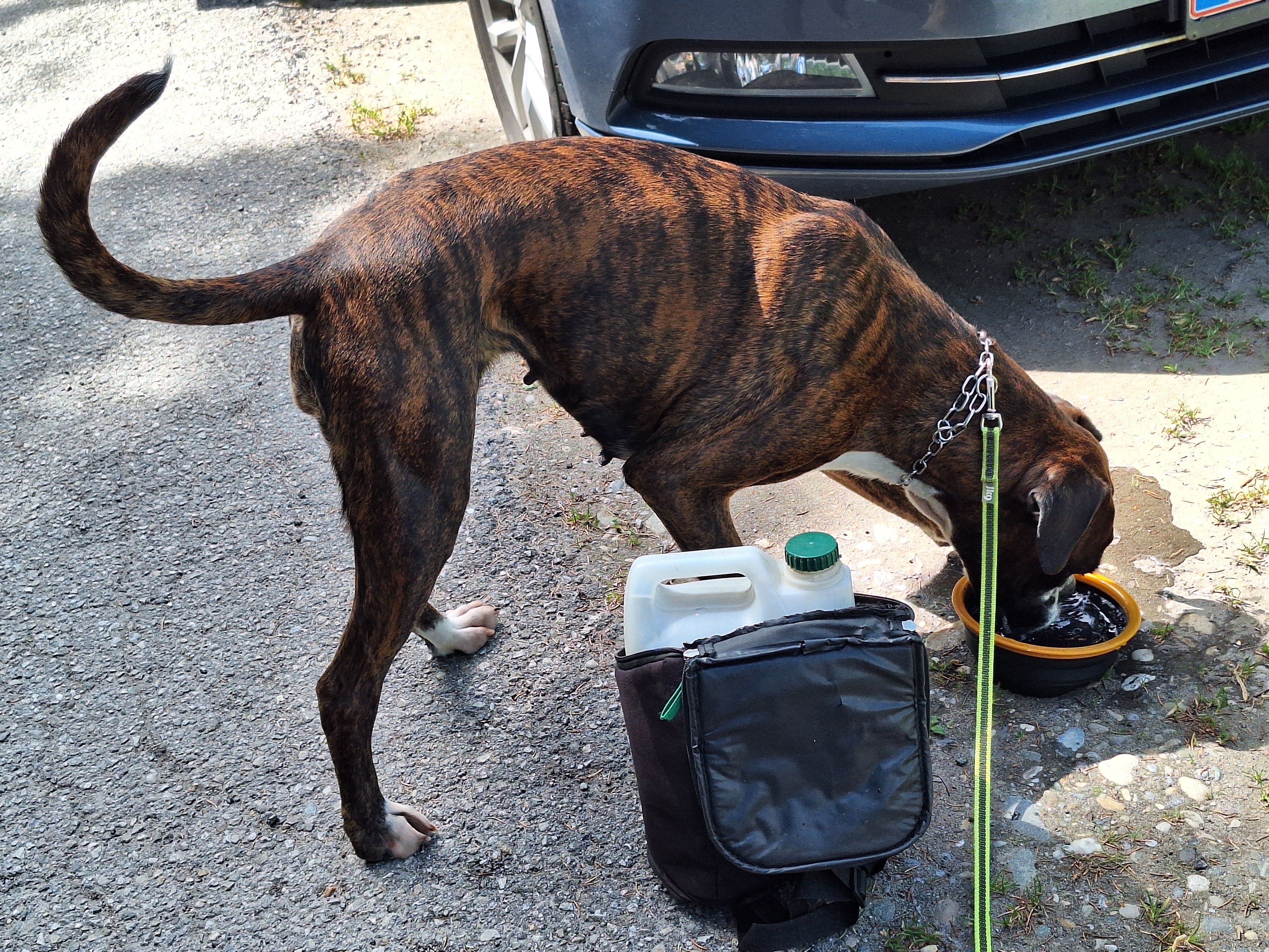 Maj 2025 - Sommerferie