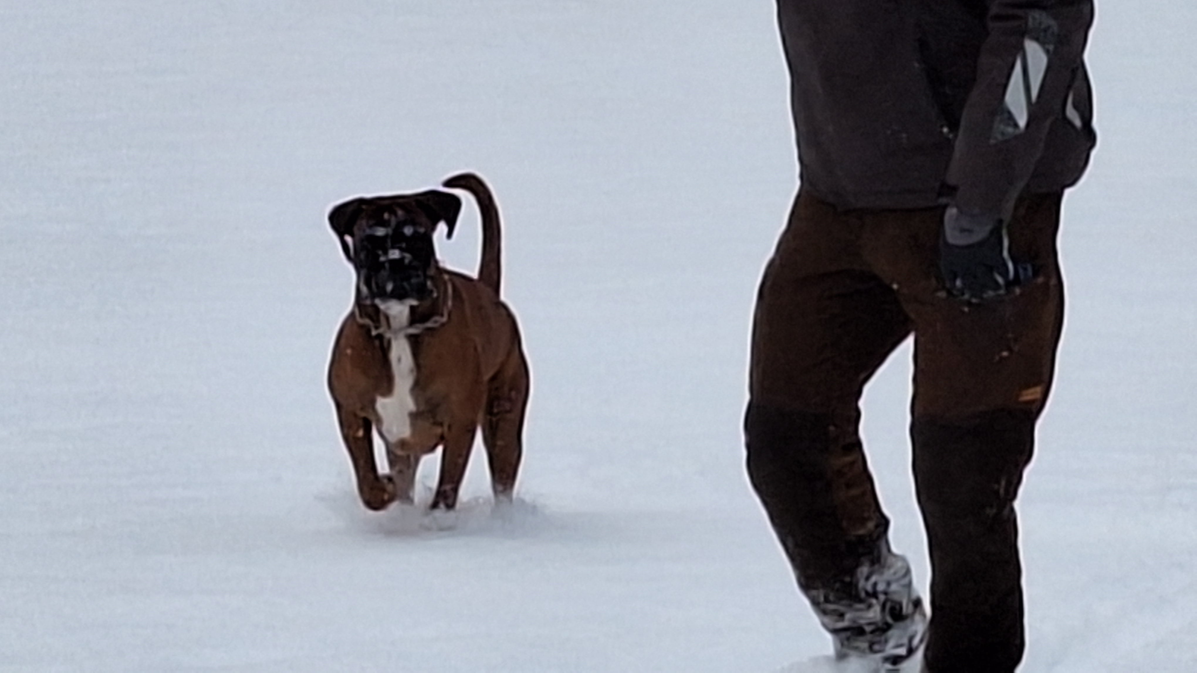 Januar 2026 - Leg i sneen Sydkyst