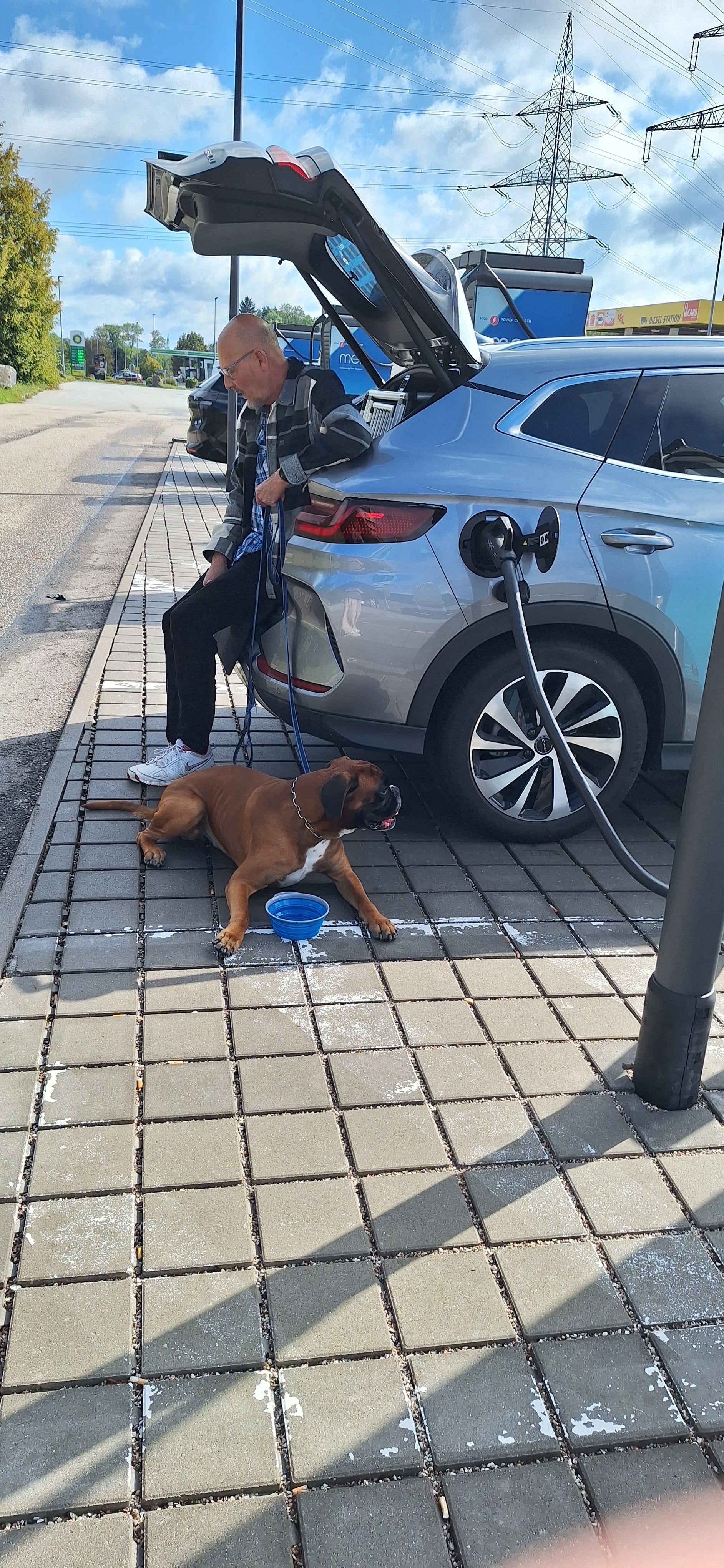 Opladning af bil, hund og mennesker på vej hjem