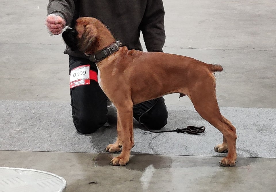 Februar 2023 - Udstilling i Fredericia