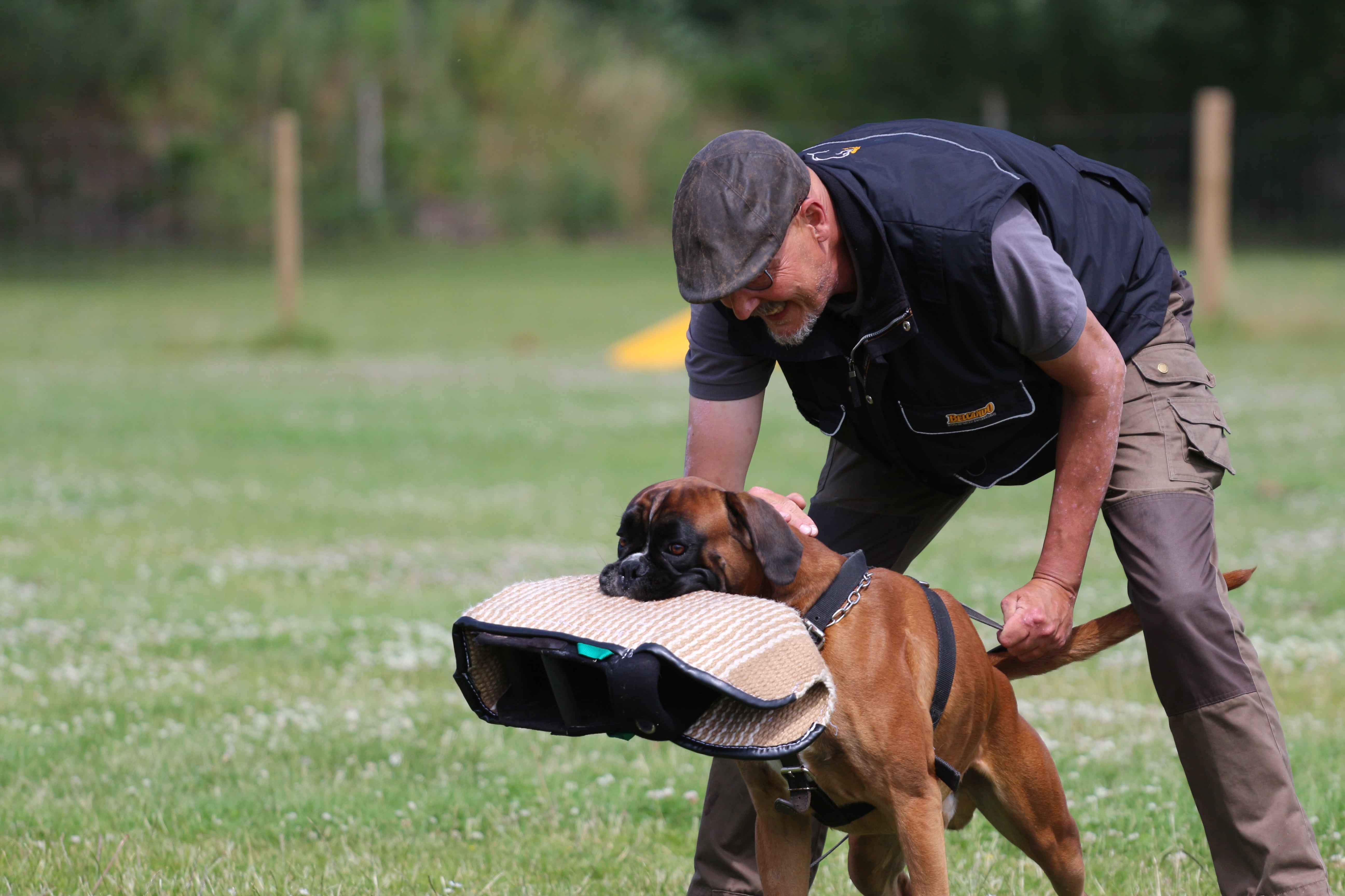 Juni 2025 - C camp Falster