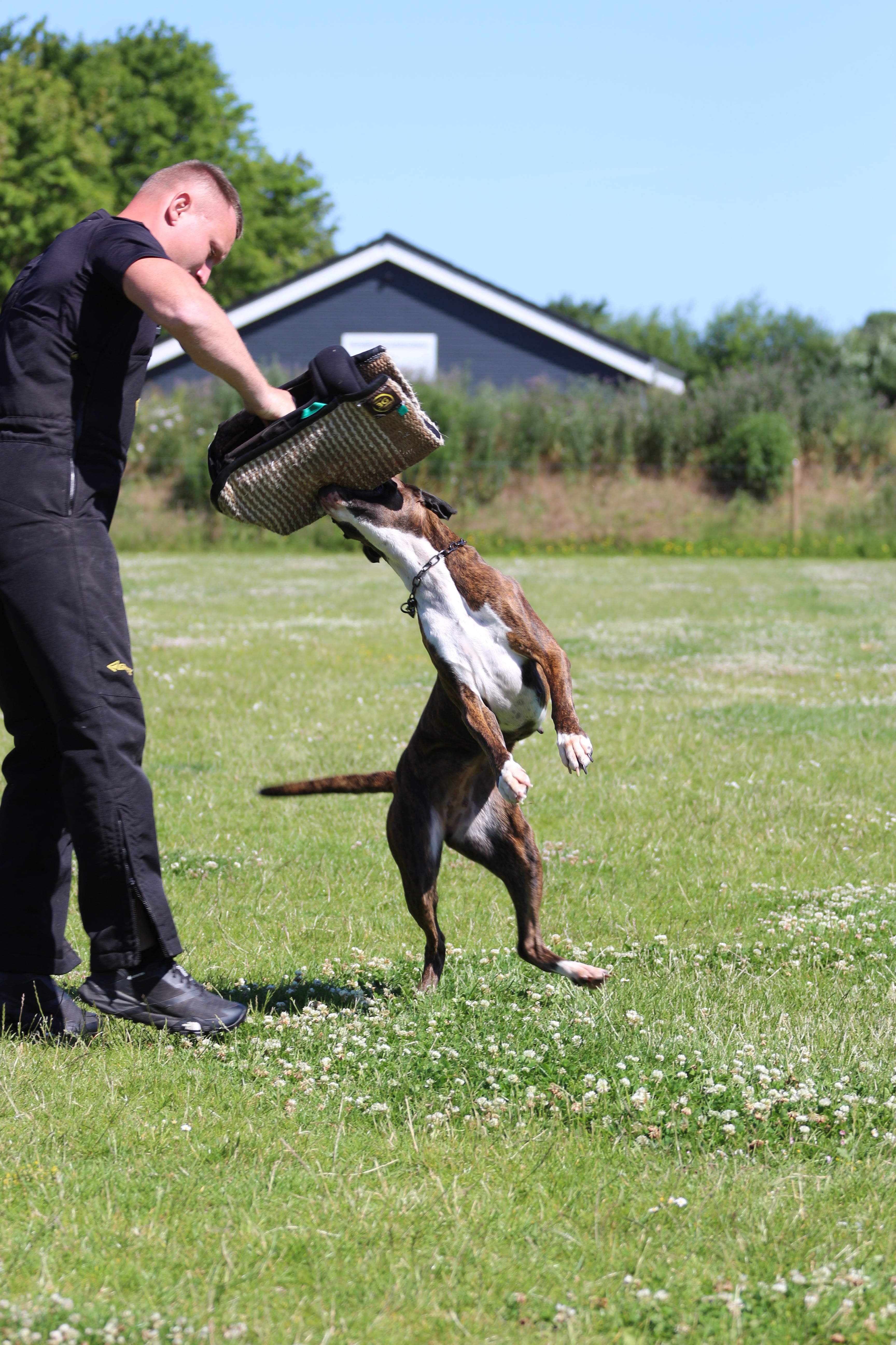 Juni 2025 - C-camp  Falster 2025 