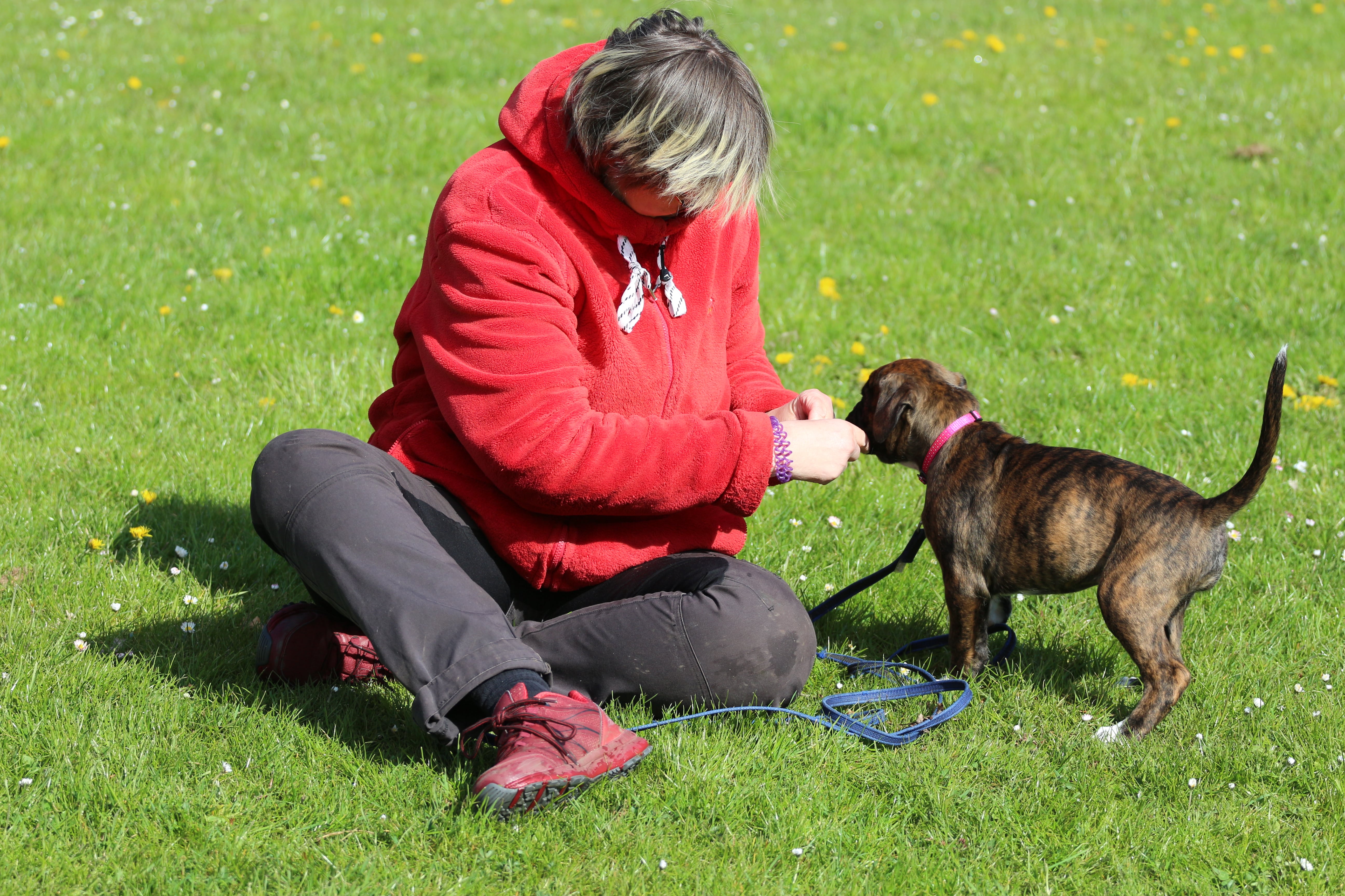 Maj 2021 - Første træning Sydkyst