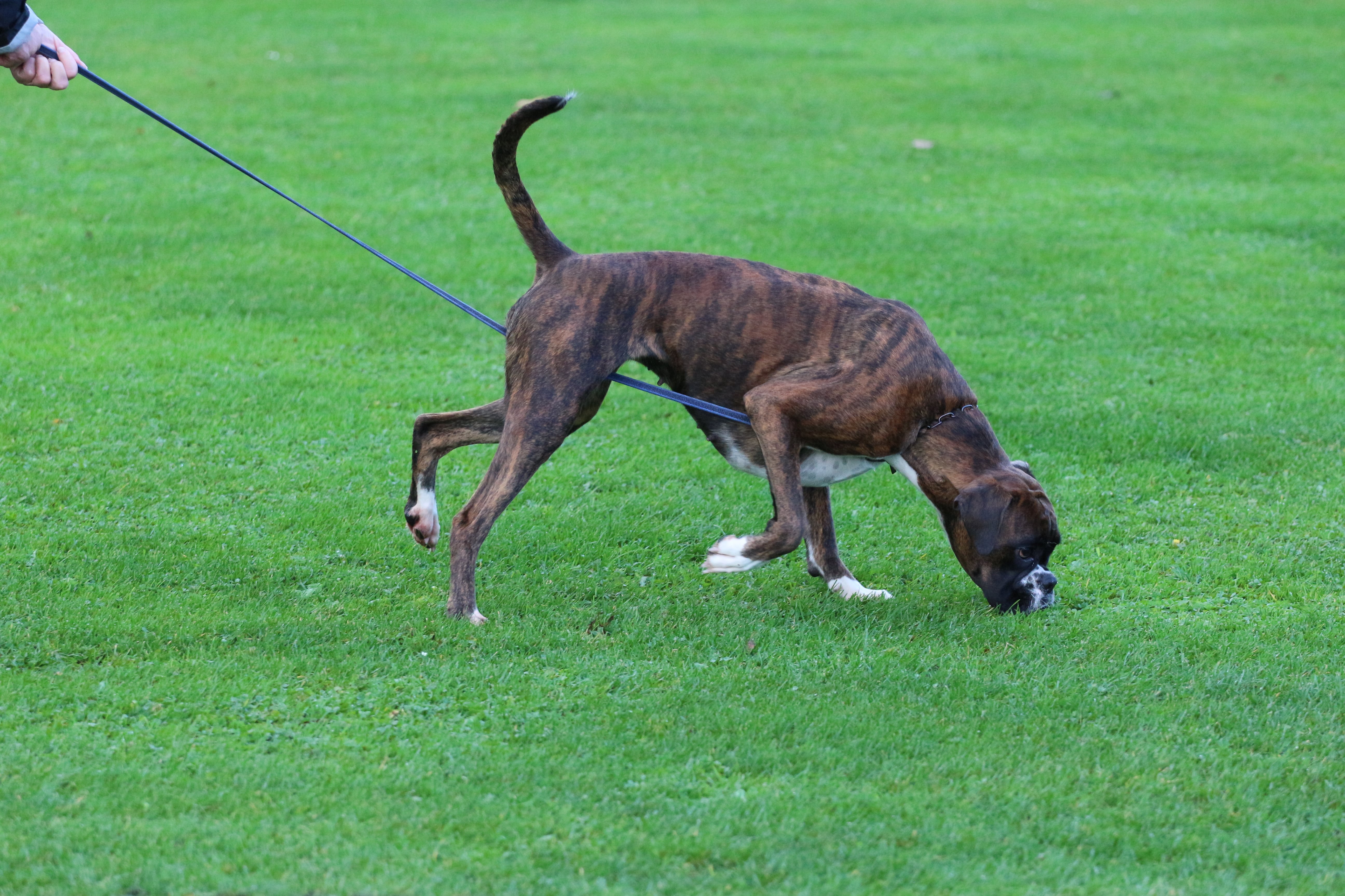 November 2022 - Spor Holbæk
