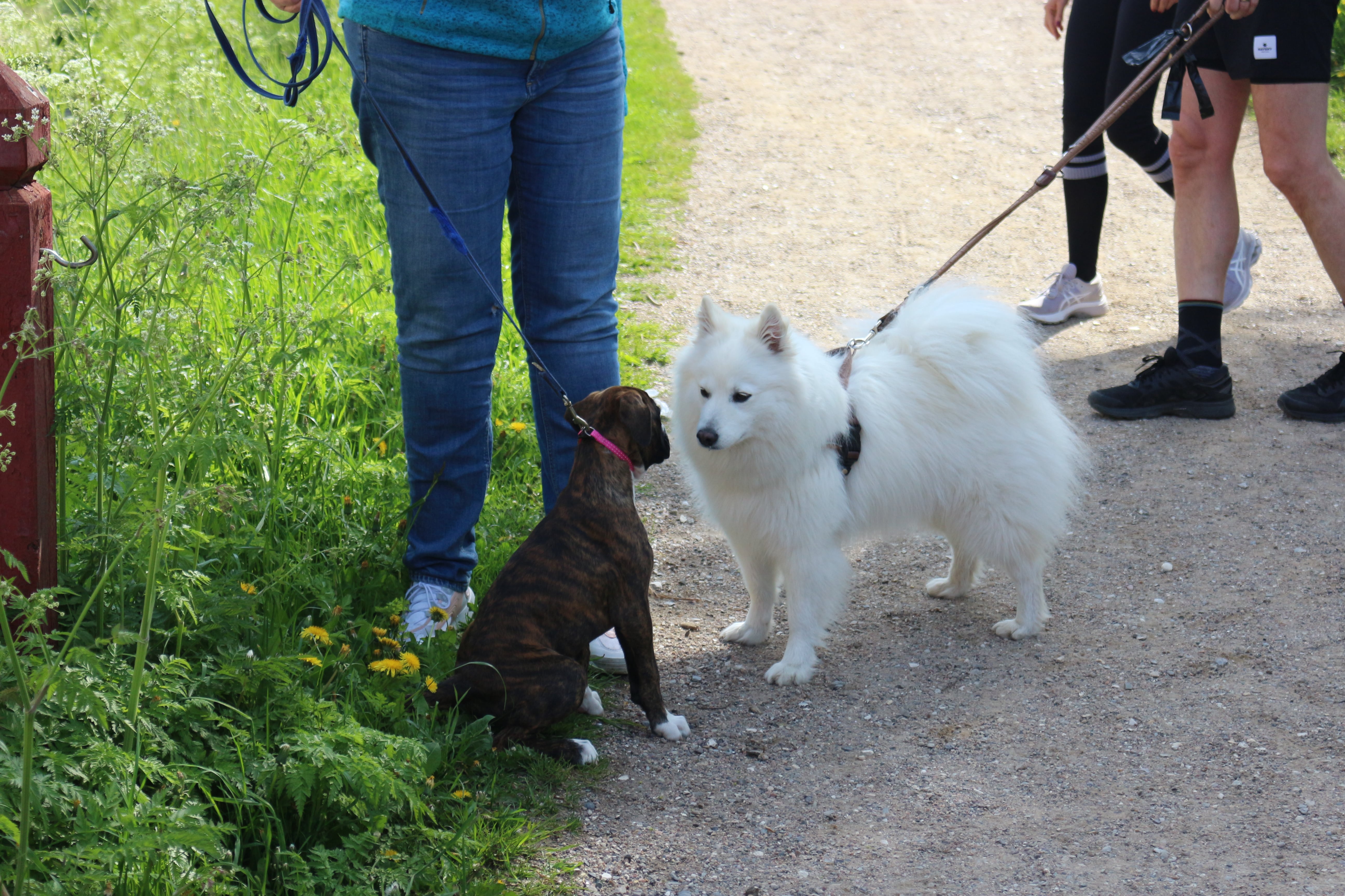 Maj 2021 - Tur til København