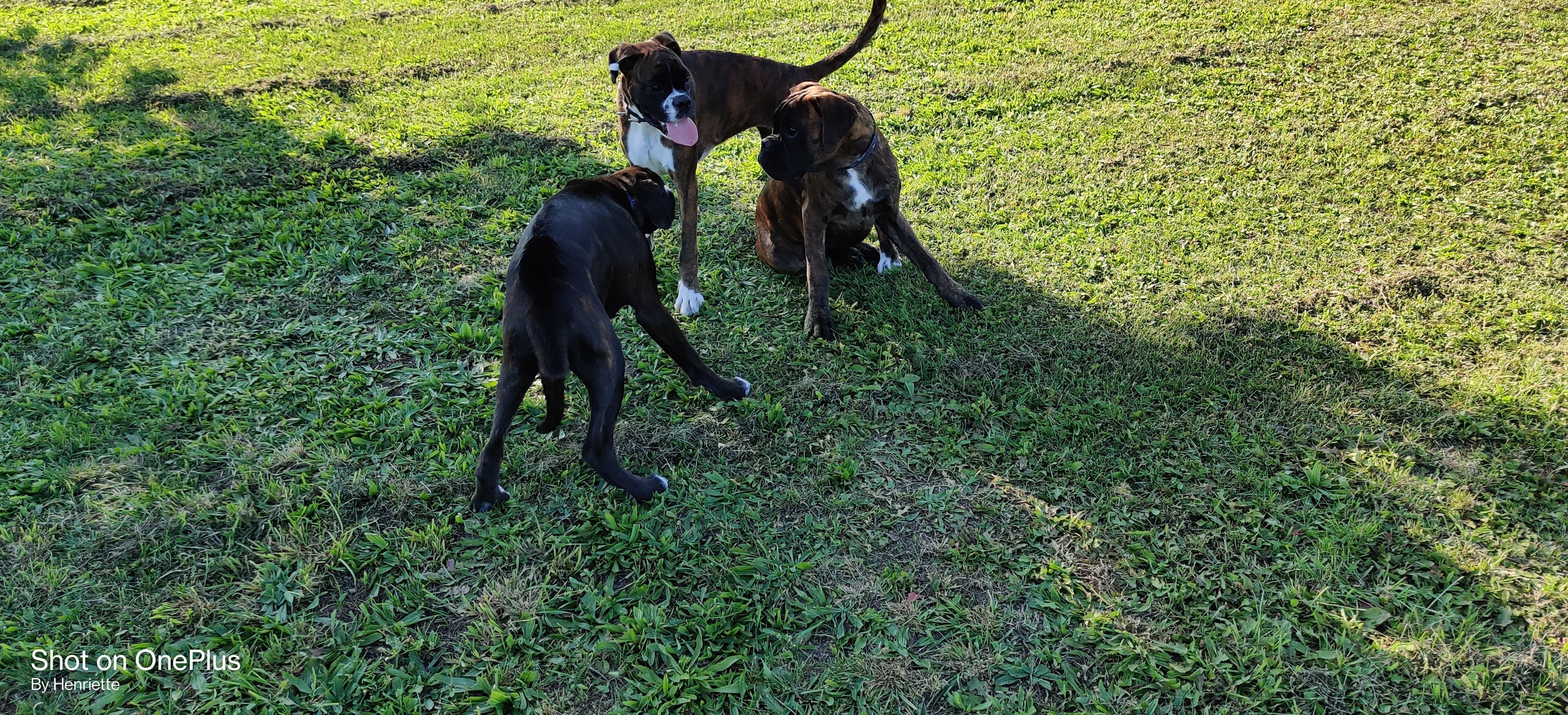 September  2021 - Østrig