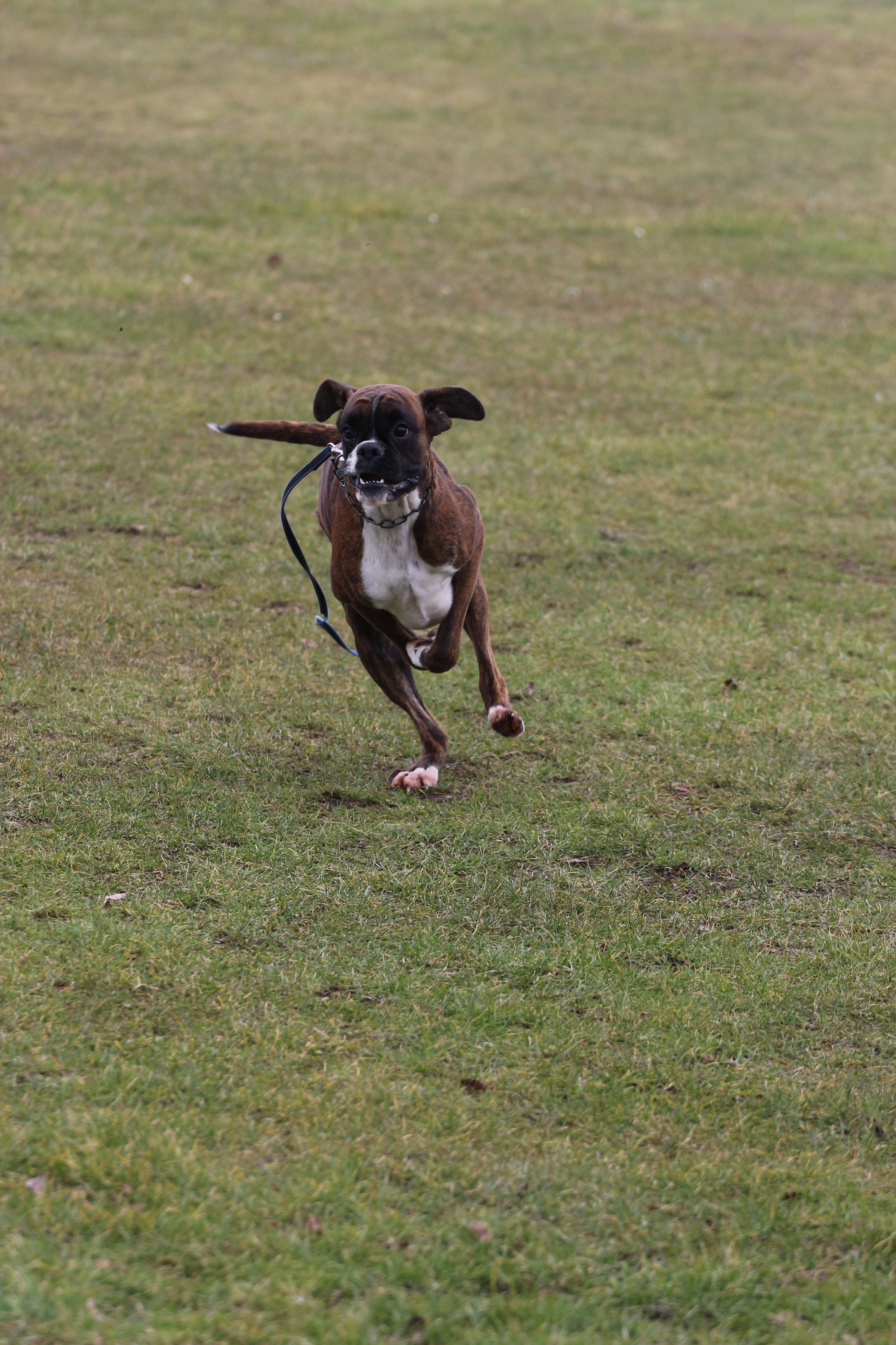 Marts 2023 - Træning Holbæk