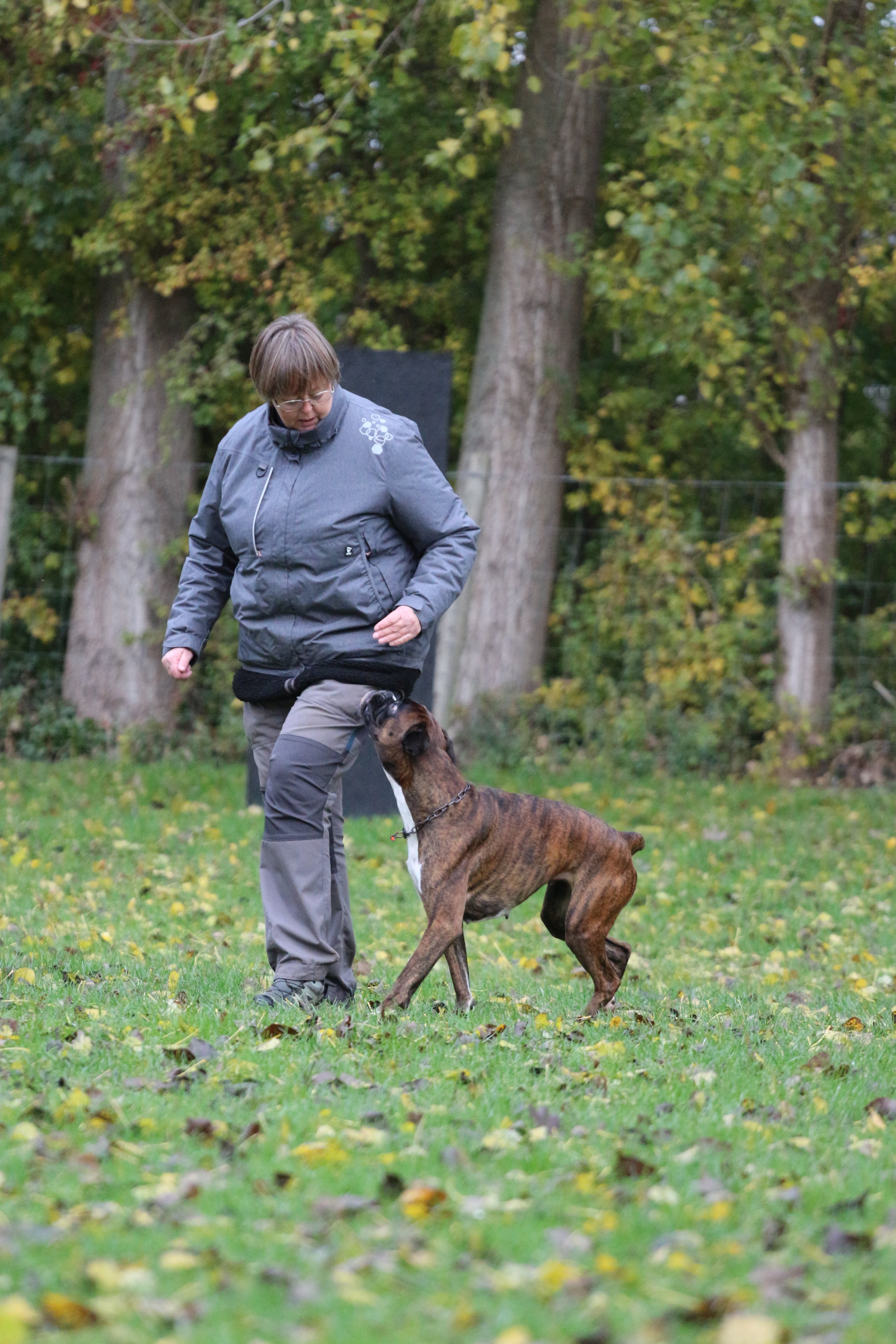 November 2025 - Træning  Sydkyst