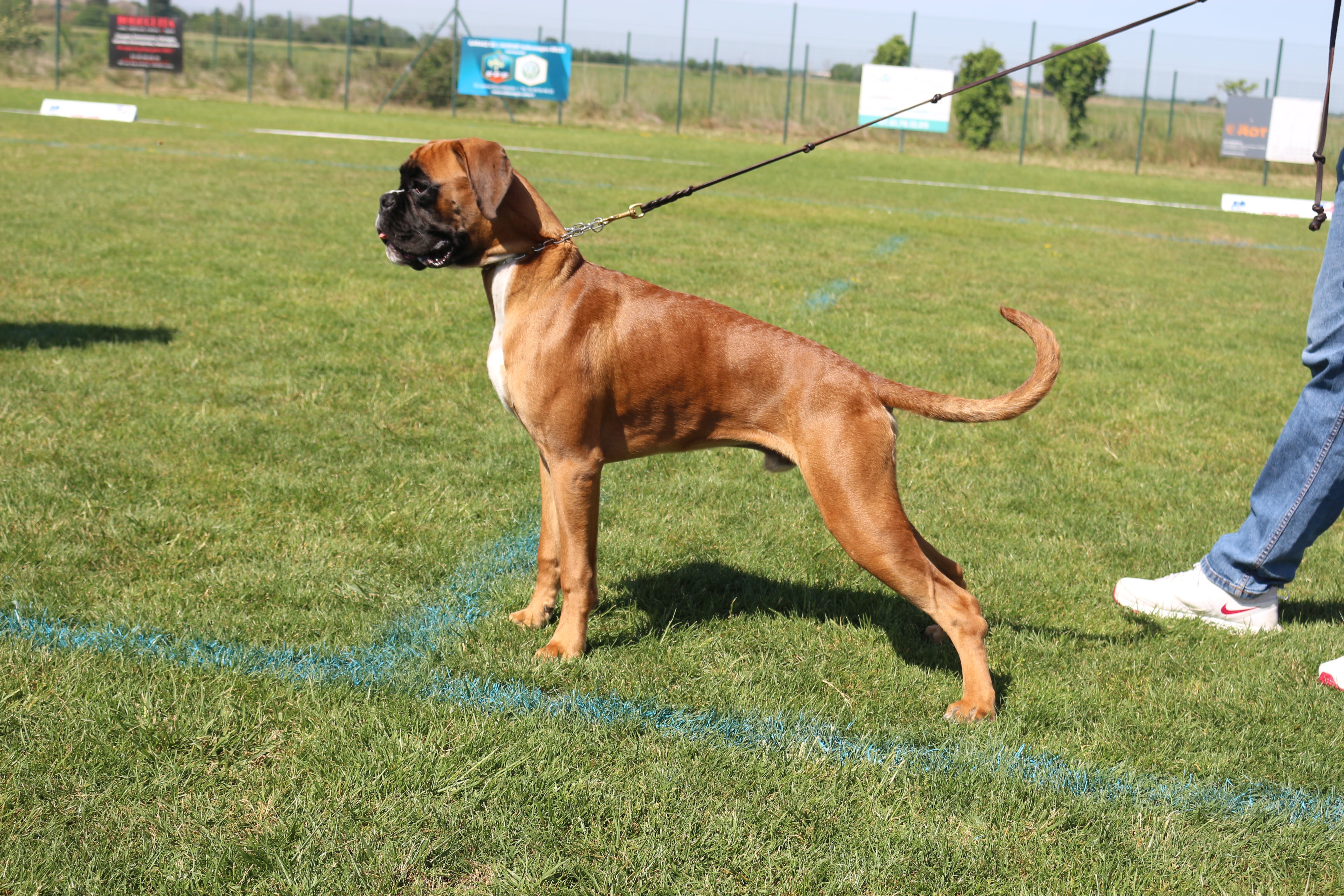 Maj 2023 - WUBOX Frankrig