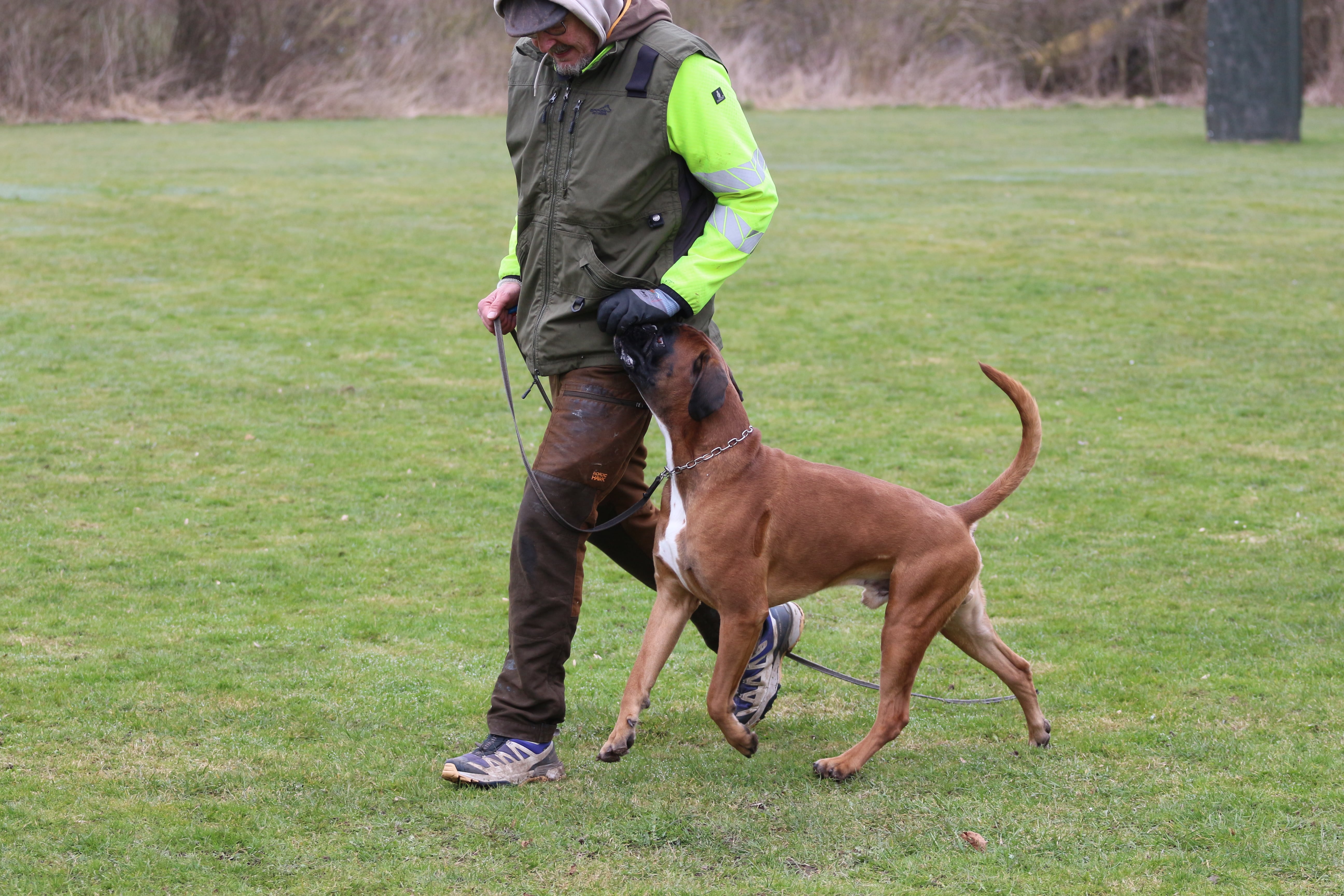 Februar 2026 - Lydighedskursus Årslev