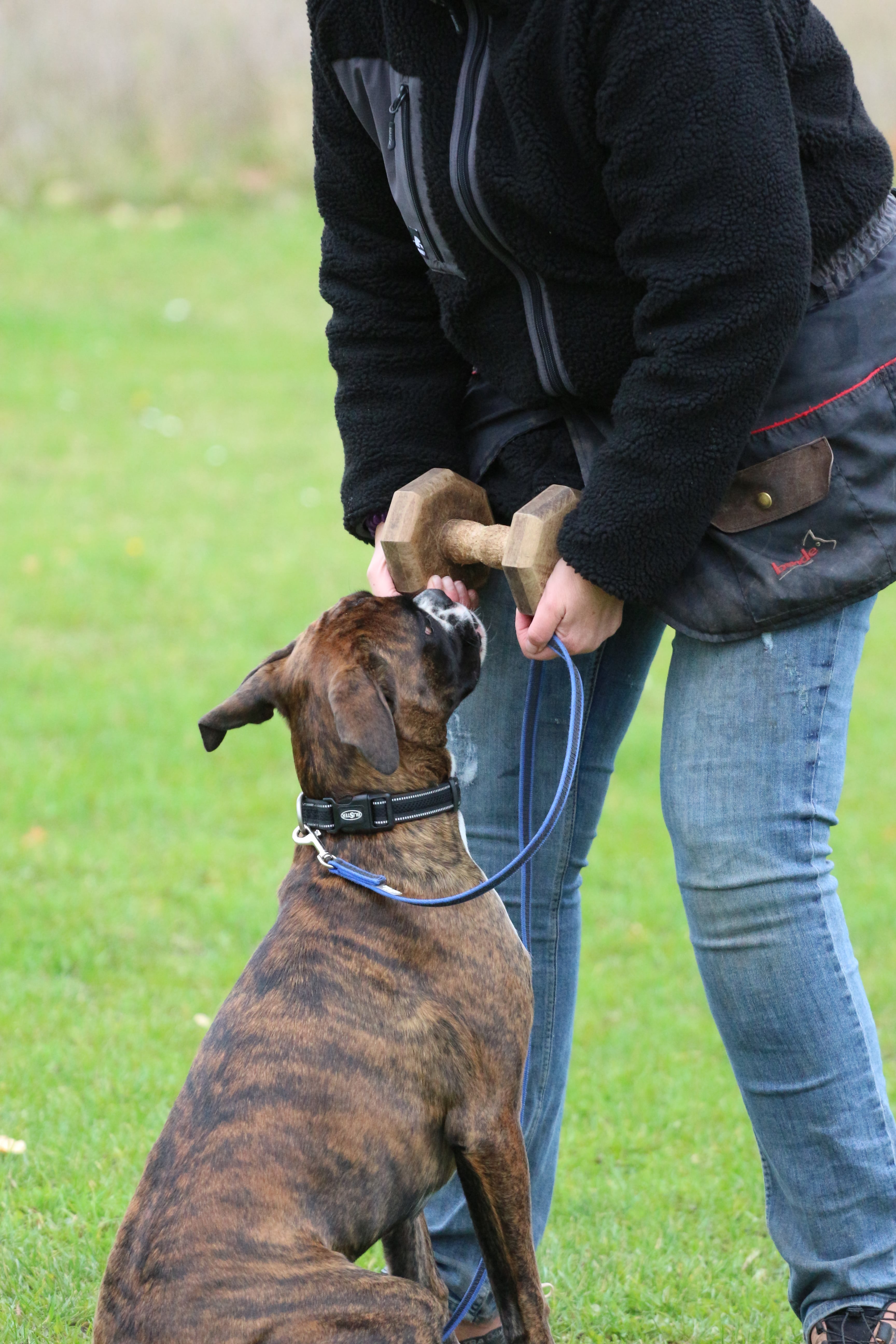 Oktober 2021 - Træning Holbæk