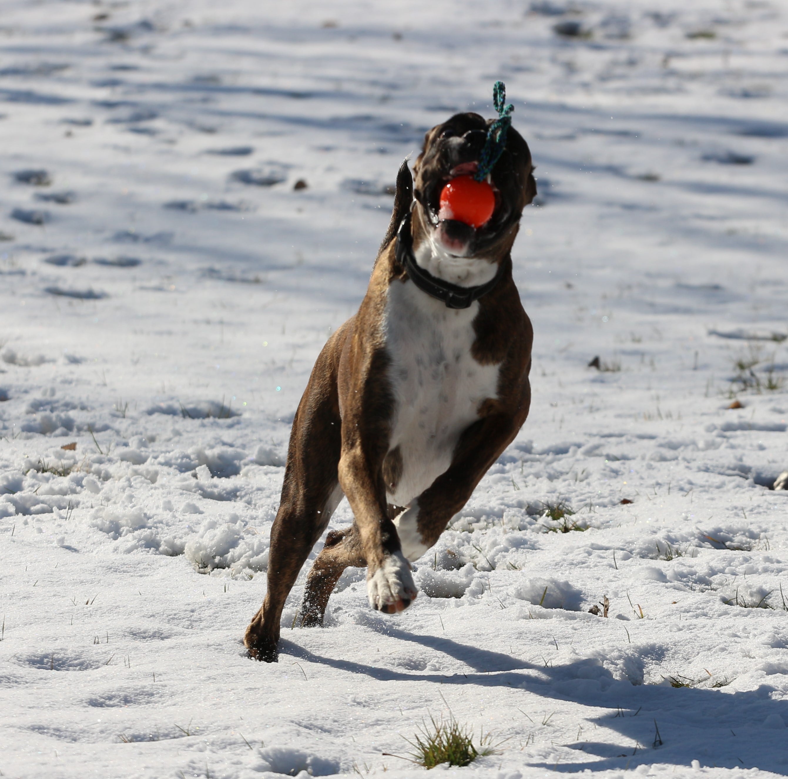 Februar 2022 - Leg Sydkyst