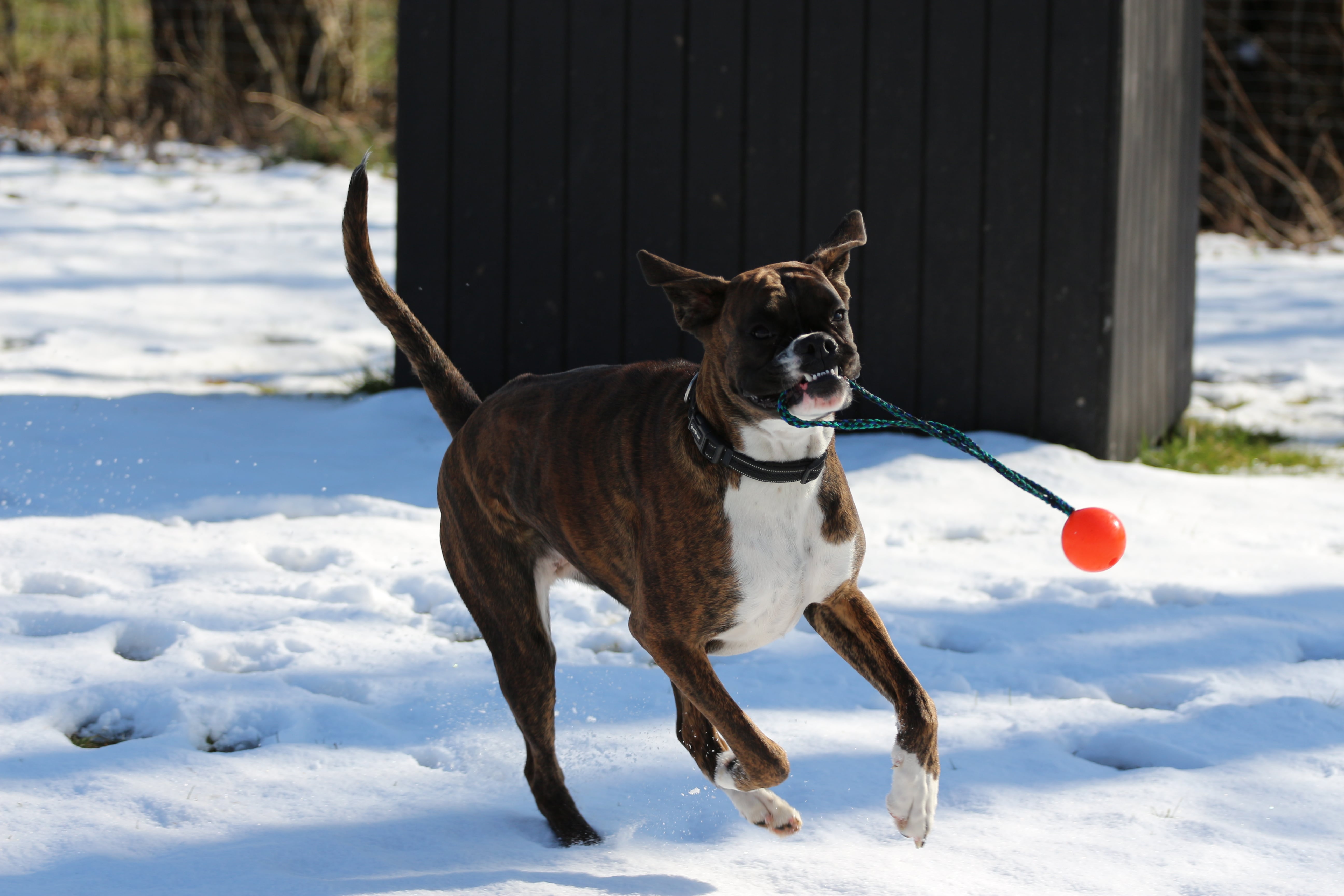 Februar 2022 - Leg Sydkyst