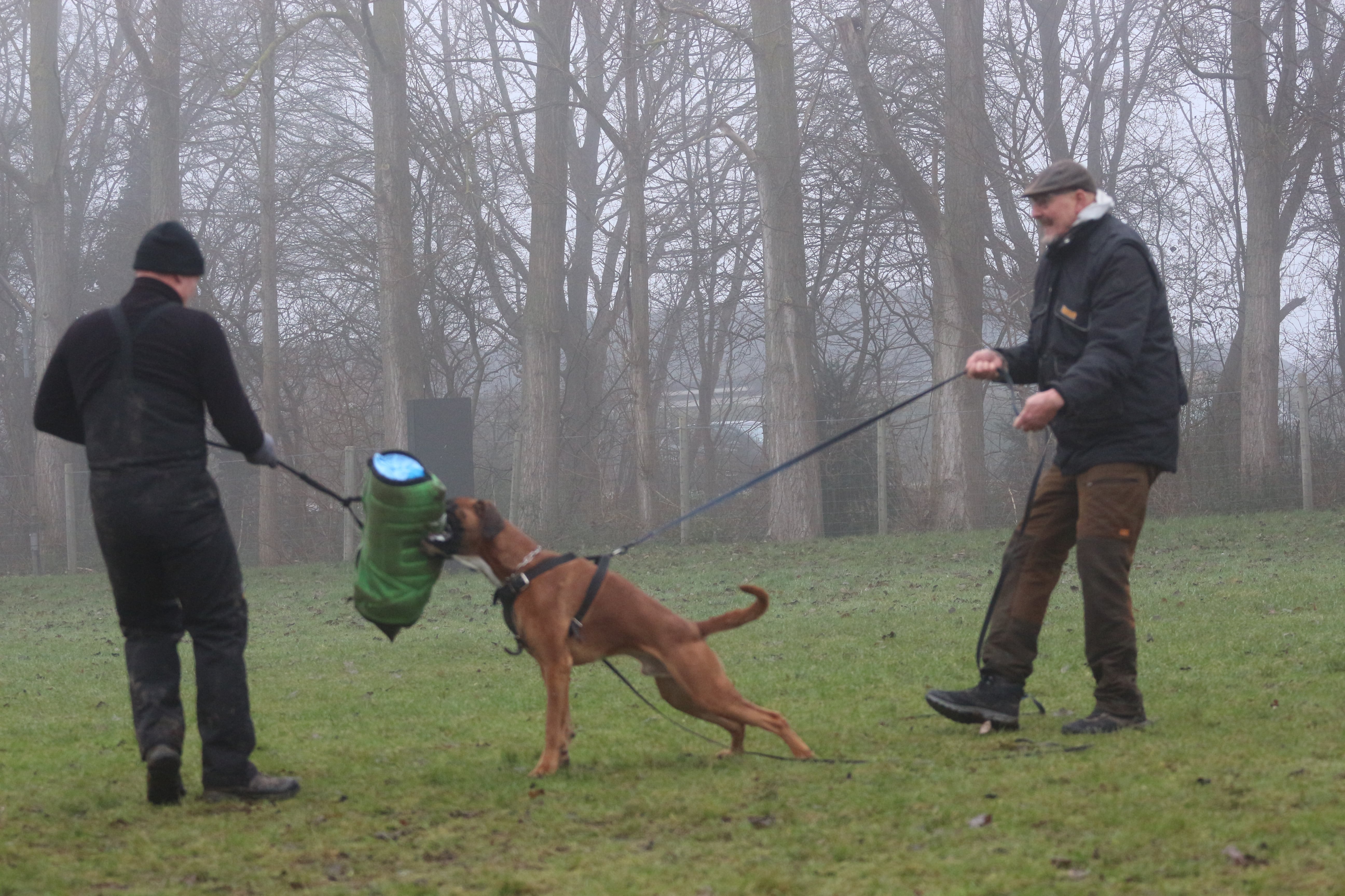 Januar 2025 - C camp Sydkyst