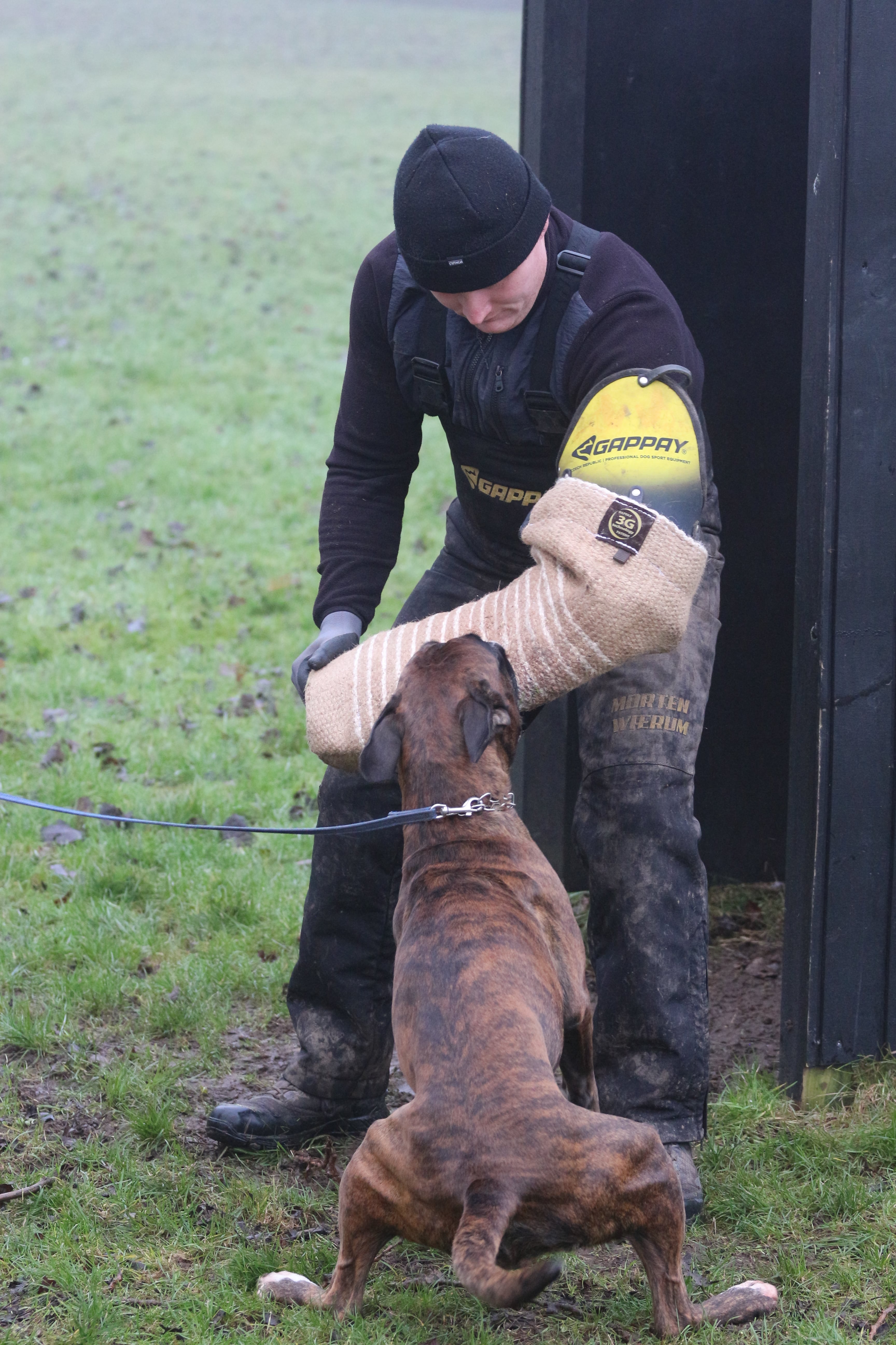 Januar  2025 - C-kursus  Sydkyst