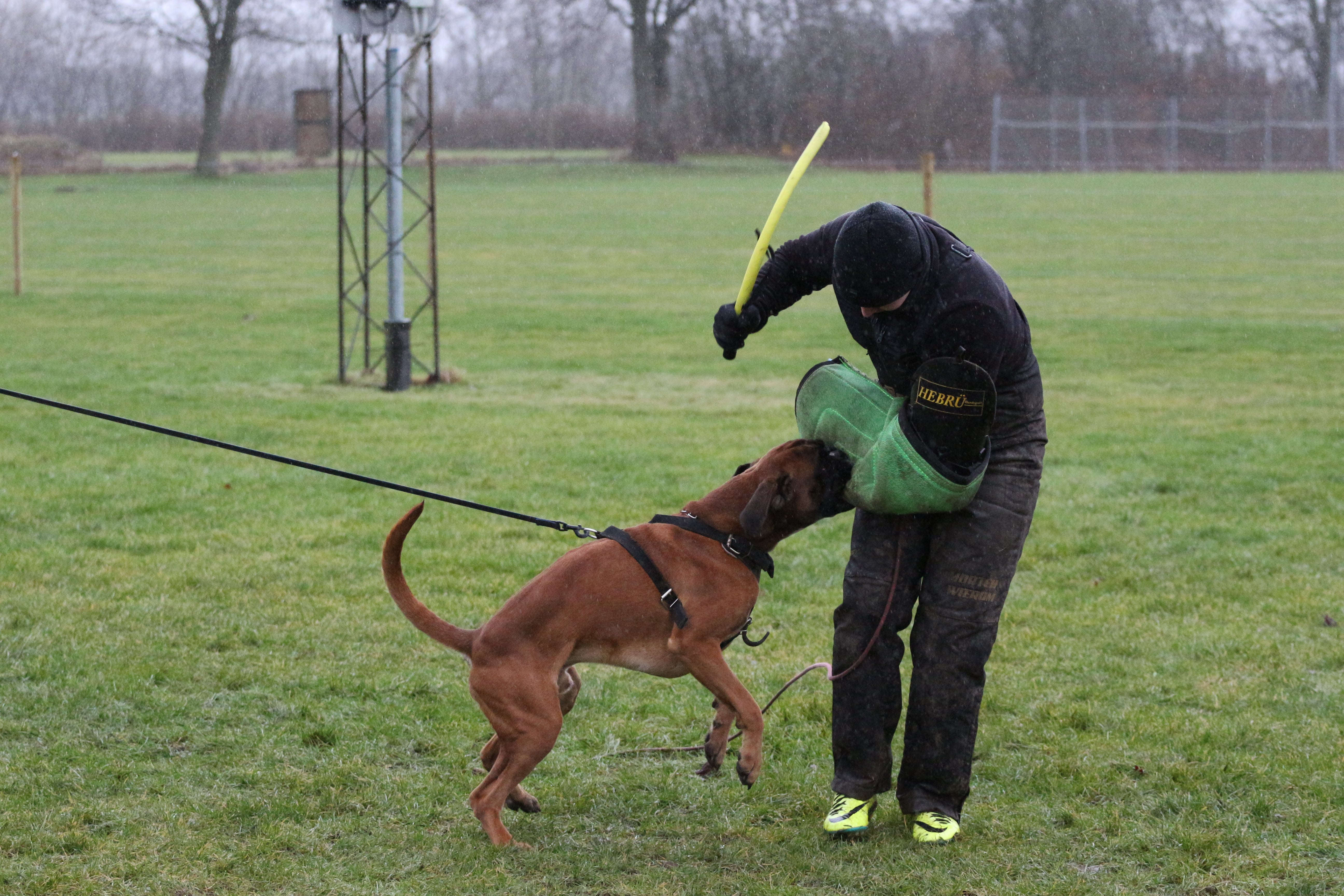 Januar 2025 - C camp Falster