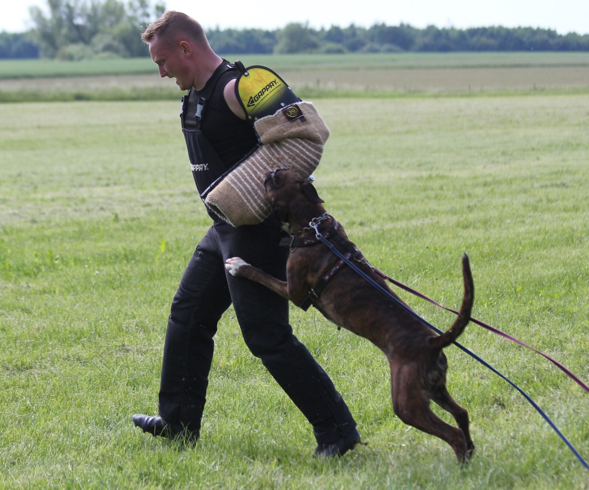 Juni 2024 - C camp Ullerød