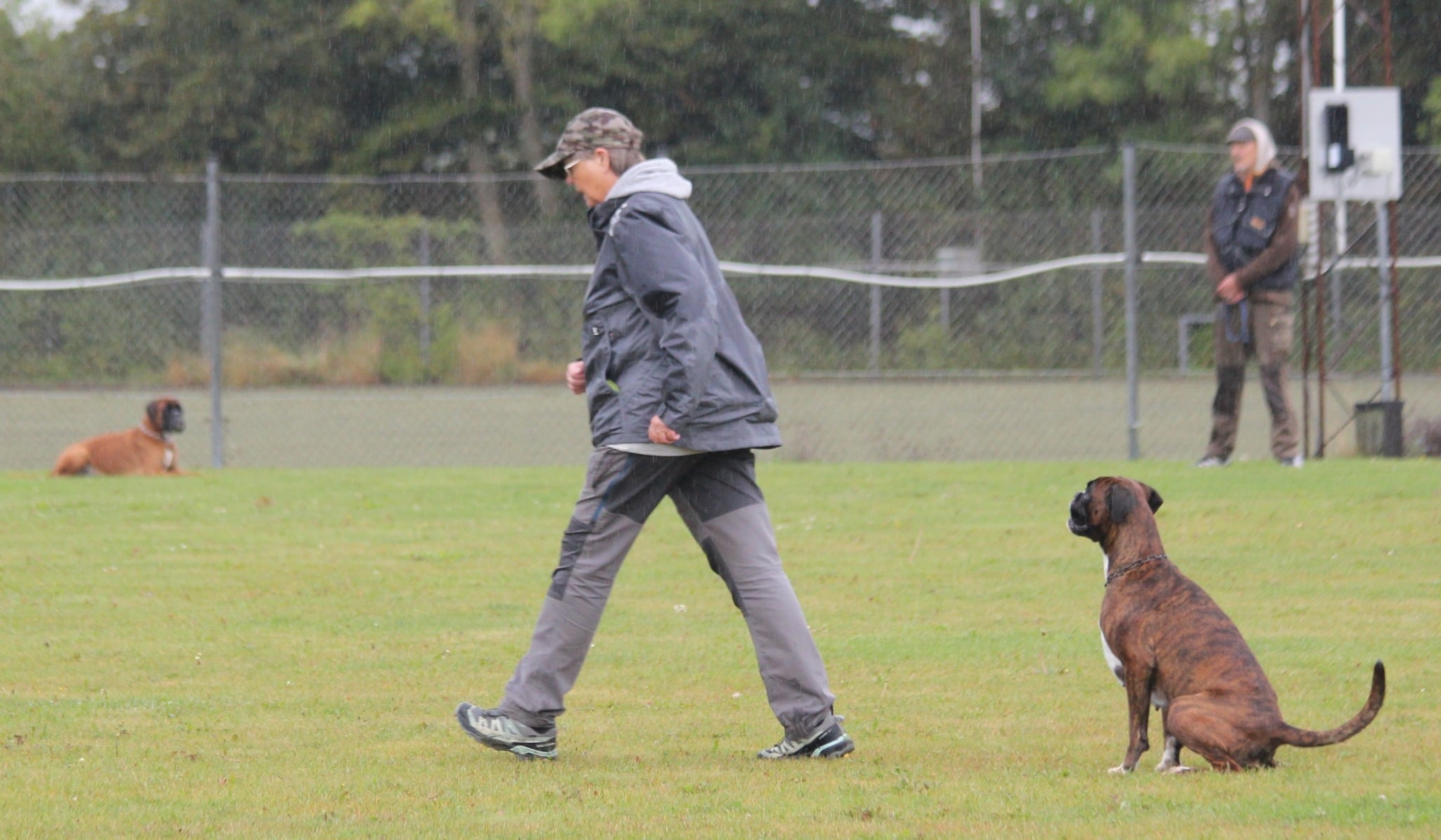 September 2025 - BH Falster