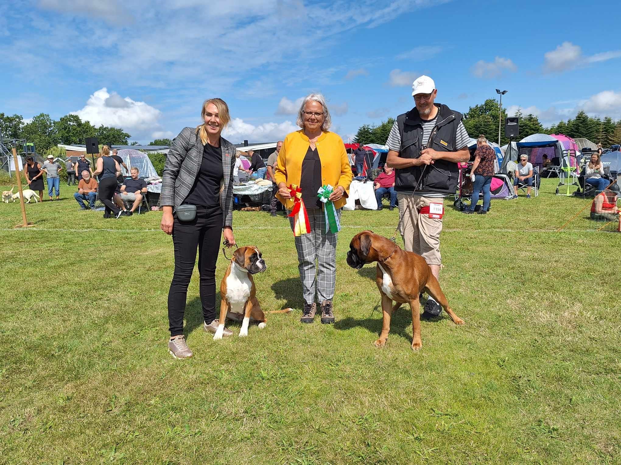 August 2024 - Udstilling DKK Fyn