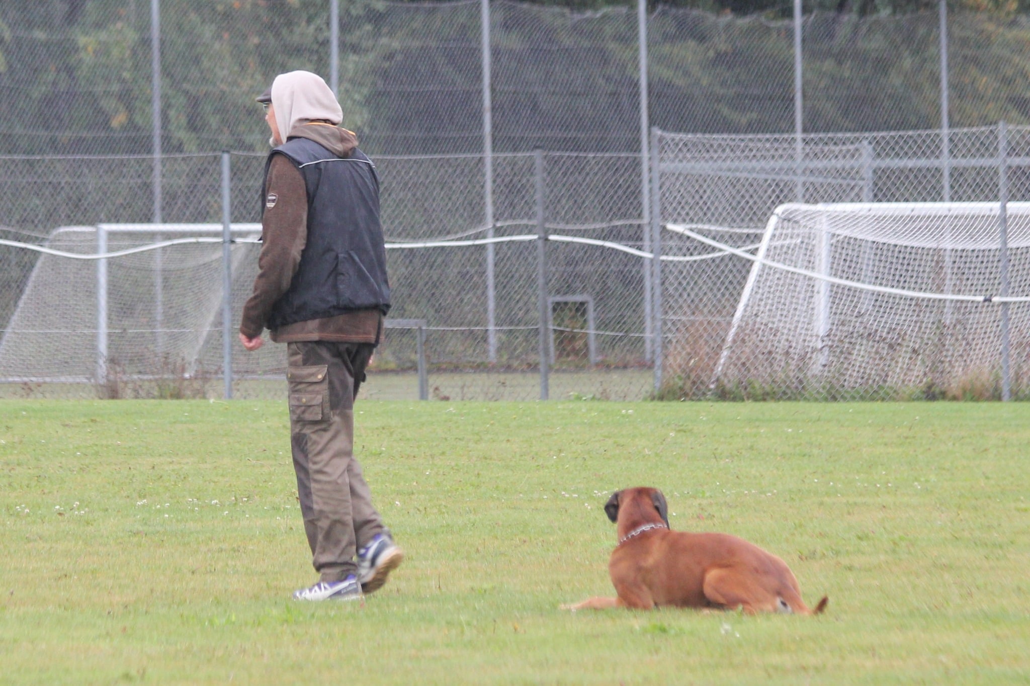 September 2025 - BH Falster