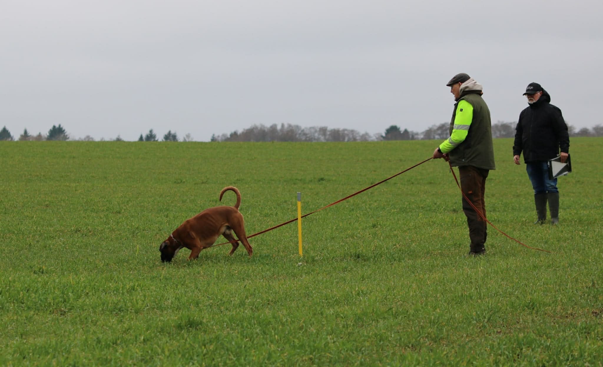 Februar 2026 - FRr1 Årslev Cup