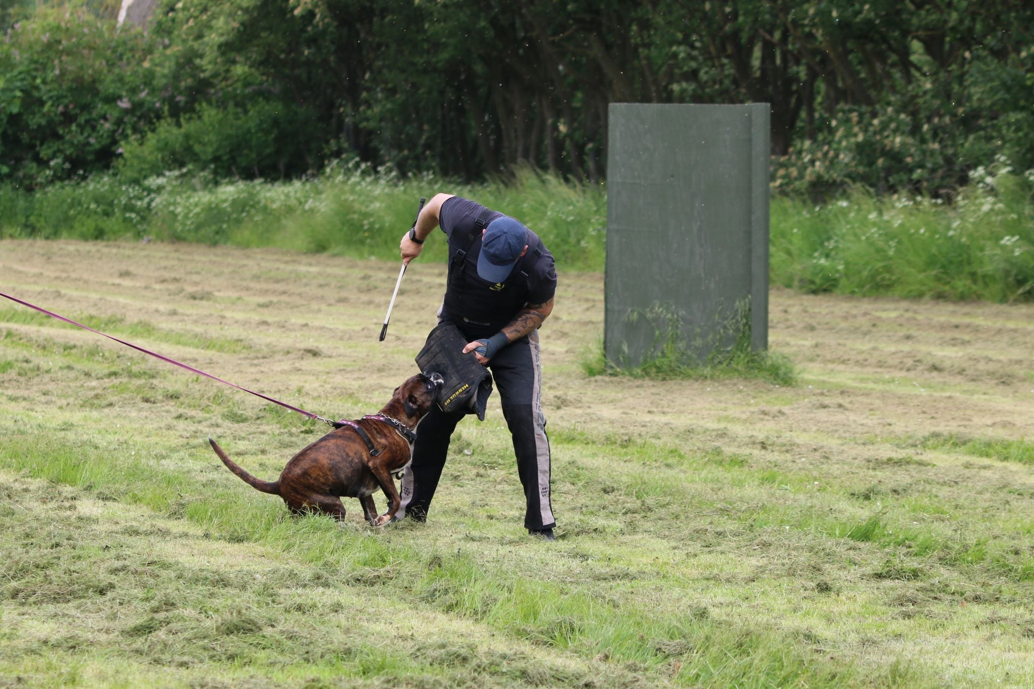 Maj 2024 - C camp i Årslev