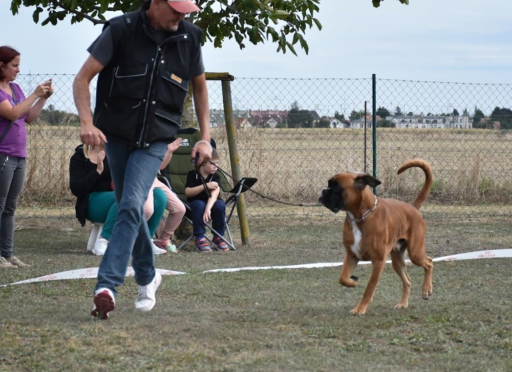 September 2023 - Østrigsk Årsvinder